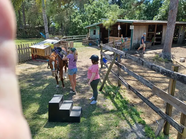 Ruxton's Ranch Rides — customer photo 5