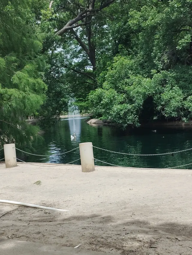Trinity Park Duck Pond — customer photo 4
