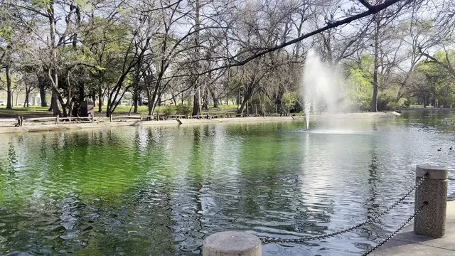 Trinity Park Duck Pond — customer photo 10