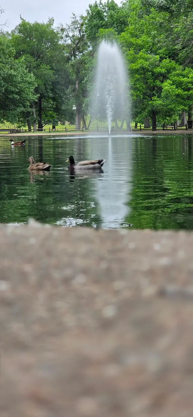 Trinity Park Duck Pond — customer photo 5