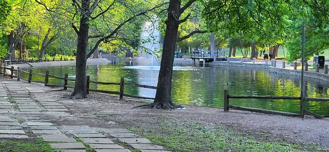 Trinity Park Duck Pond — customer photo 9