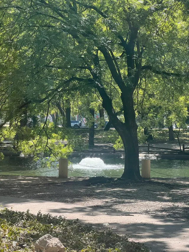 Trinity Park Duck Pond — customer photo 12