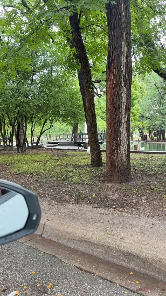 Trinity Park Duck Pond — customer photo 2