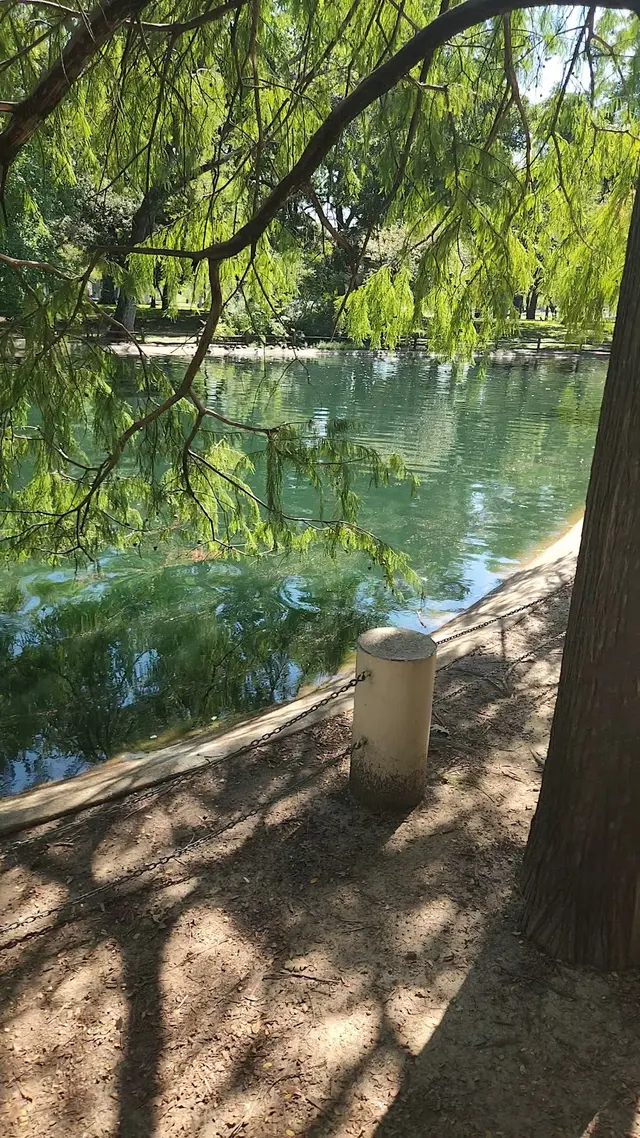 Trinity Park — customer photo 2