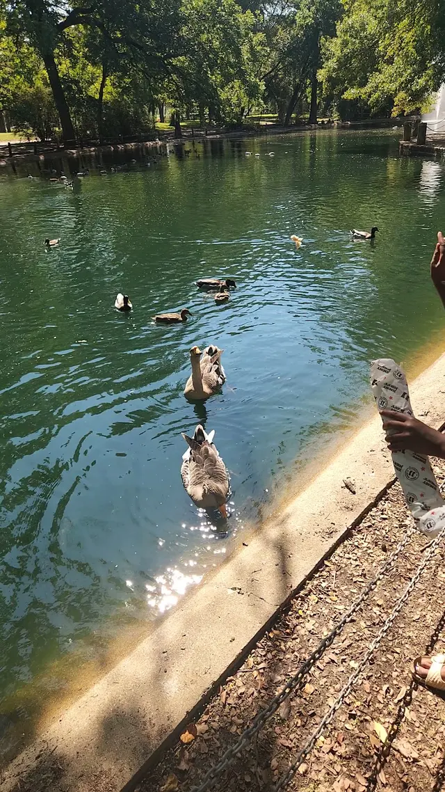 Trinity Park — customer photo 4