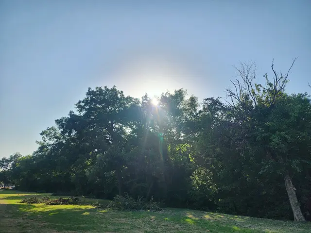 Trinity Park — customer photo 7