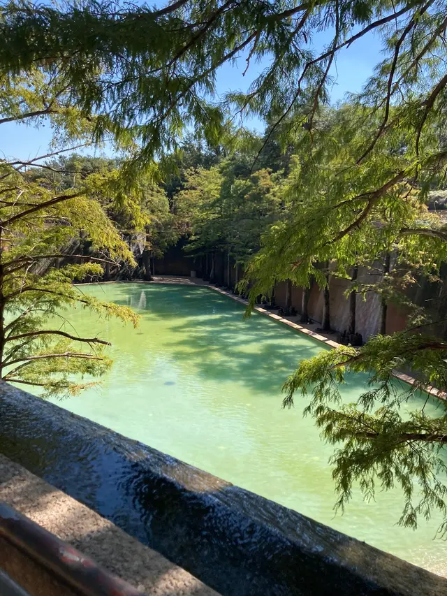 Customer photo of work by Fort Worth Water Gardens, from Bizzy2021's review