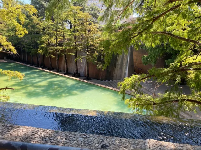 Customer photo of work by Fort Worth Water Gardens, from Bizzy2021's review