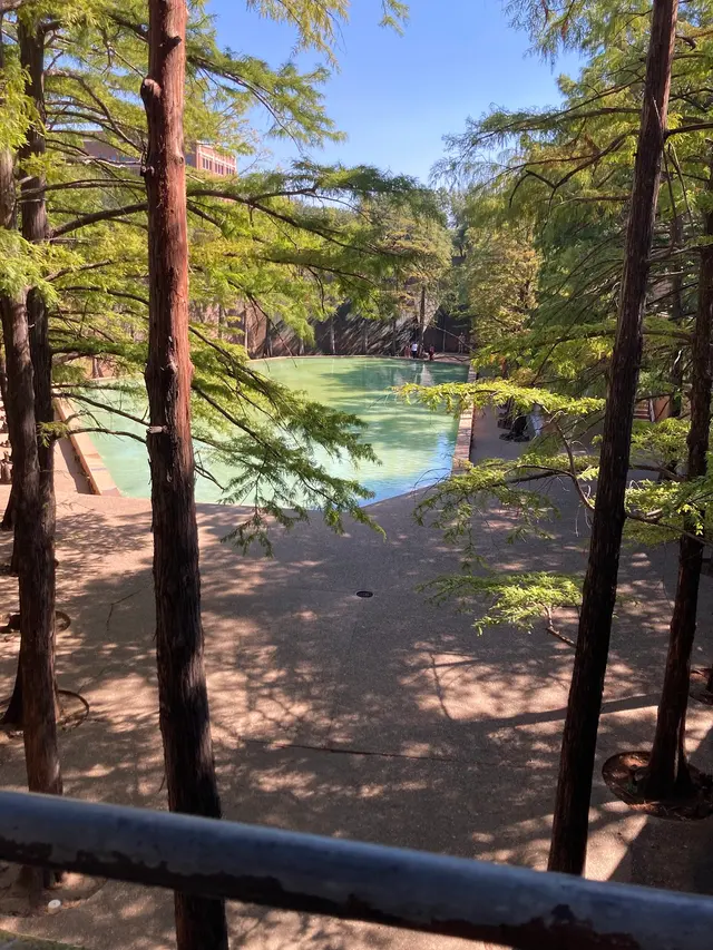 Customer photo of work by Fort Worth Water Gardens, from Bizzy2021's review