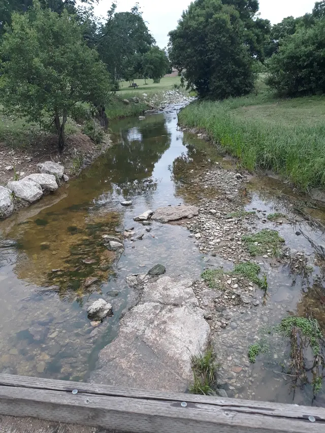 Overton Park — customer photo 3