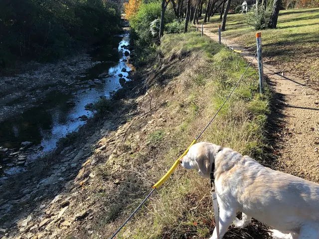 Overton Park — customer photo 8