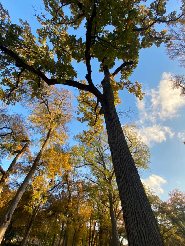 Overton Park — customer photo 5