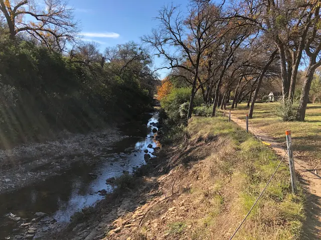 Overton Park — customer photo 9