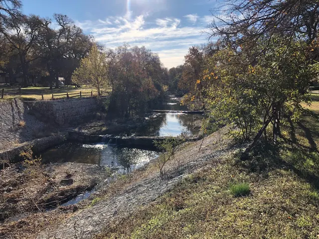 Overton Park — customer photo 4