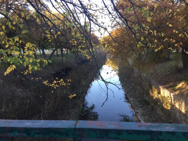 Overton Park — customer photo 10