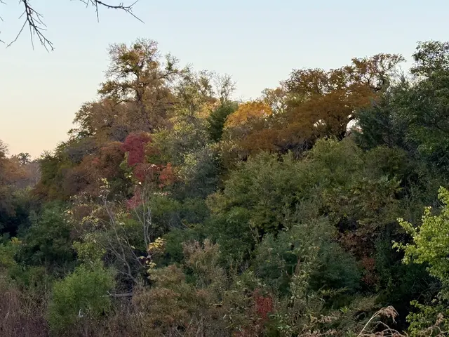 Overton Park — customer photo 11