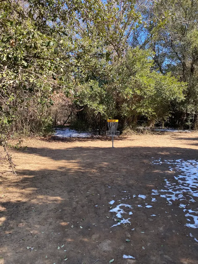 City Disc Park — customer photo 11