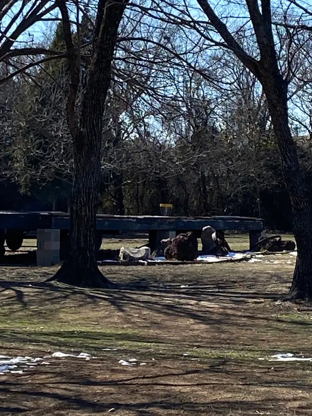 City Disc Park — customer photo 4