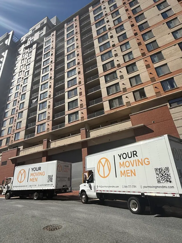 Your Moving Men | DC Moving Company — photo from the business 5