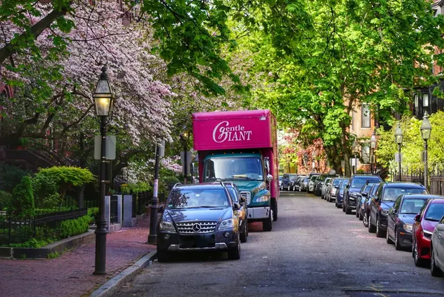 Gentle Giant Moving Company — photo from the business 6