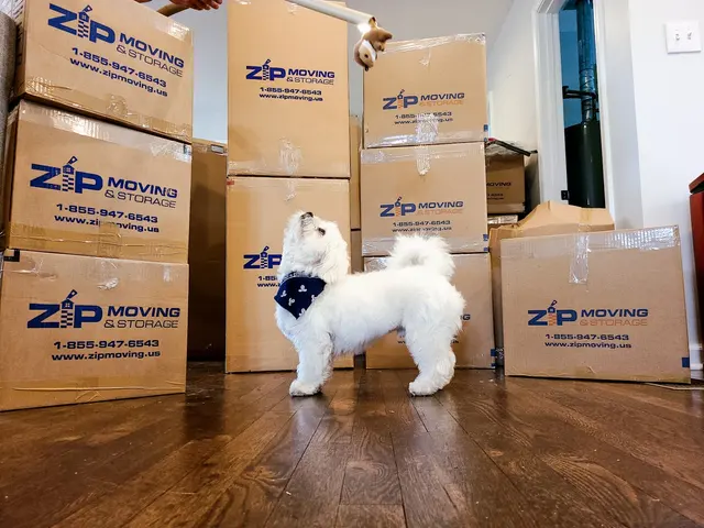 ZIP Moving & Storage — photo from the business 11