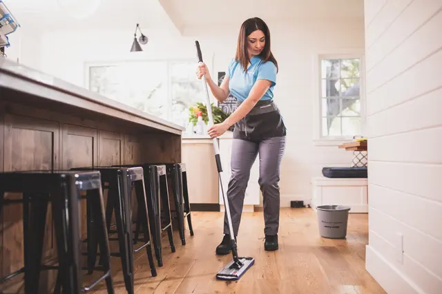 Merry Maids of Augusta — photo from the business 6