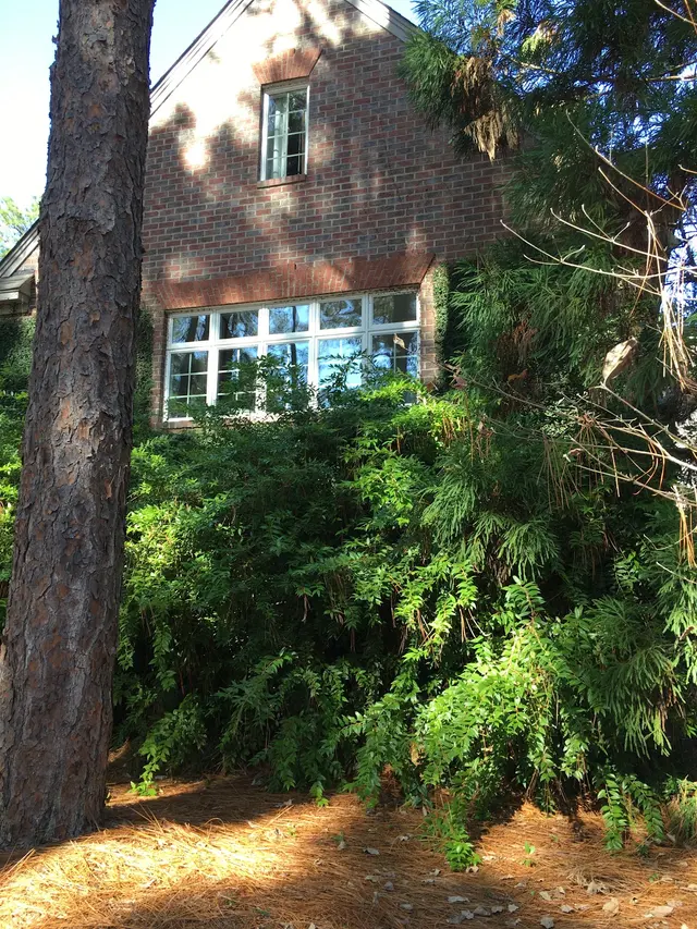 DustBusting Cleaning Service — photo from the business 8