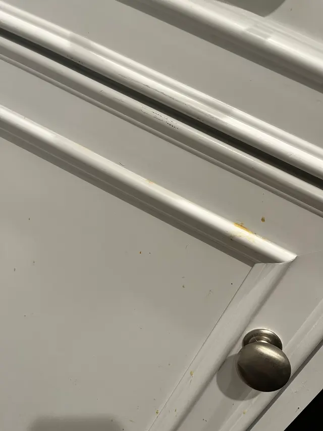 The Cleaning Authority - Augusta — customer photo 4