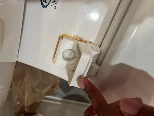 The Cleaning Authority - Augusta — customer photo 3