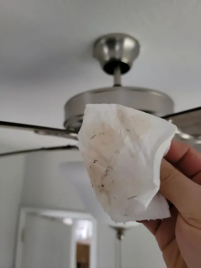 Customer photo of work by Home Clean Heroes of Augusta, from Chase Carter's review