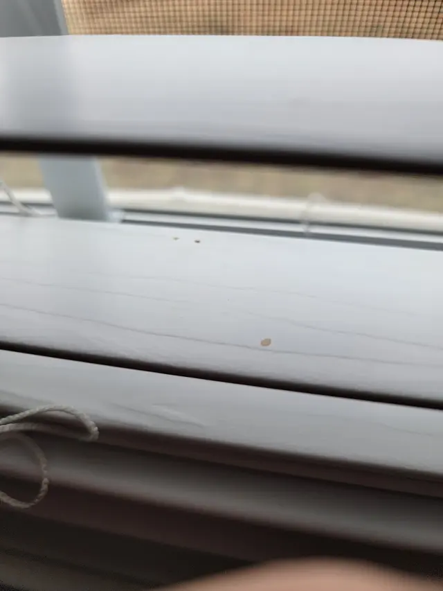 Customer photo of work by Home Clean Heroes of Augusta, from Chase Carter's review