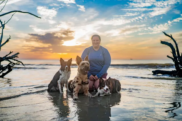 Dog Photographer of Tampa Bay — customer photo 2