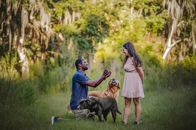 Customer photo of work by Dog Photographer of Tampa Bay, from Angelica Masello's review