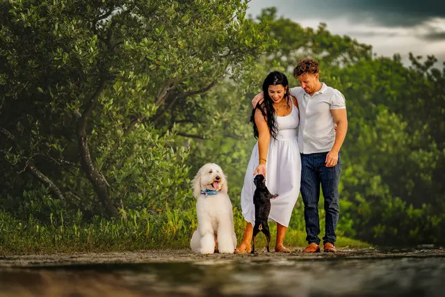 Dog Photographer of Tampa Bay — customer photo 4