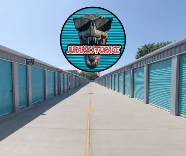 Jurassic Storage — photo from the business 1