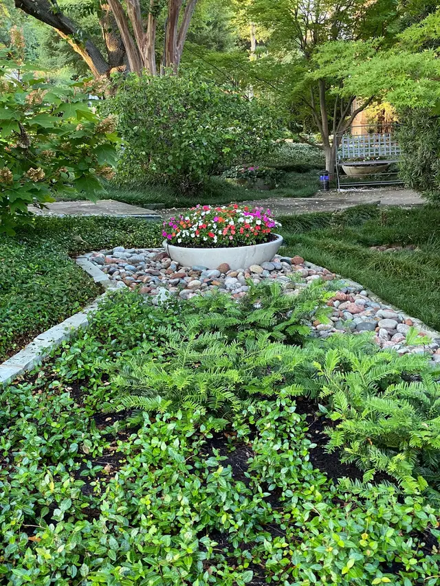 Splendid Gardens Landscaping — photo from the business 3