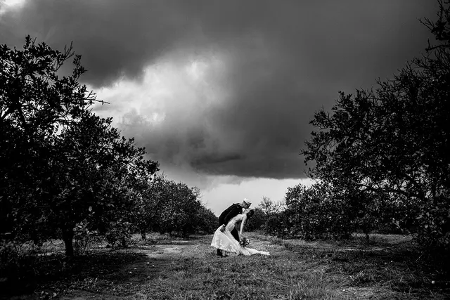 Maddness Photography — photo from the business 10