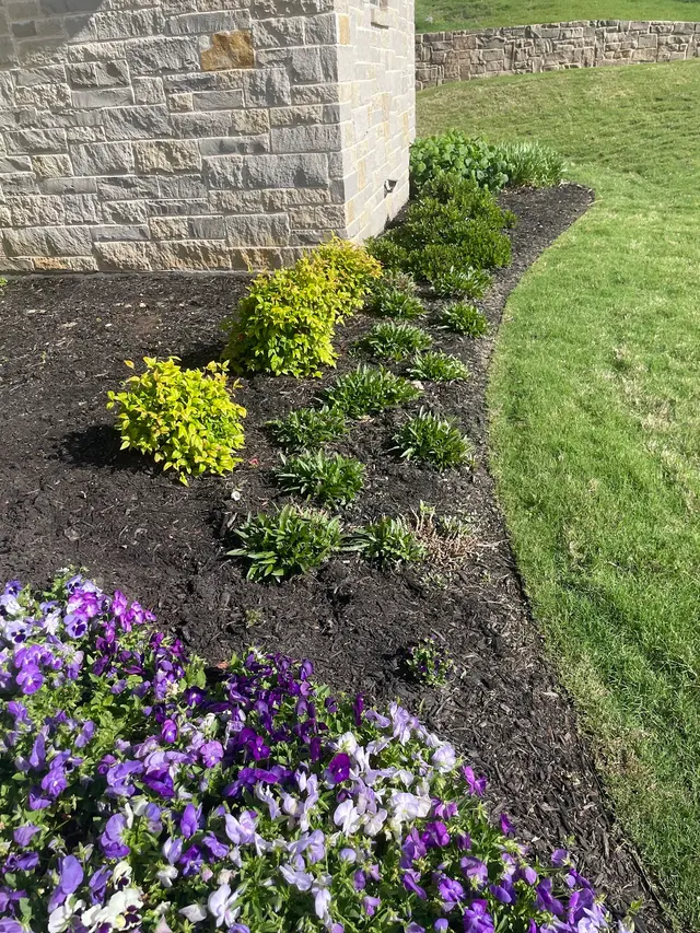 Customer photo from Leslie's review