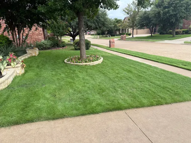 Earth Kind Services — customer photo 2