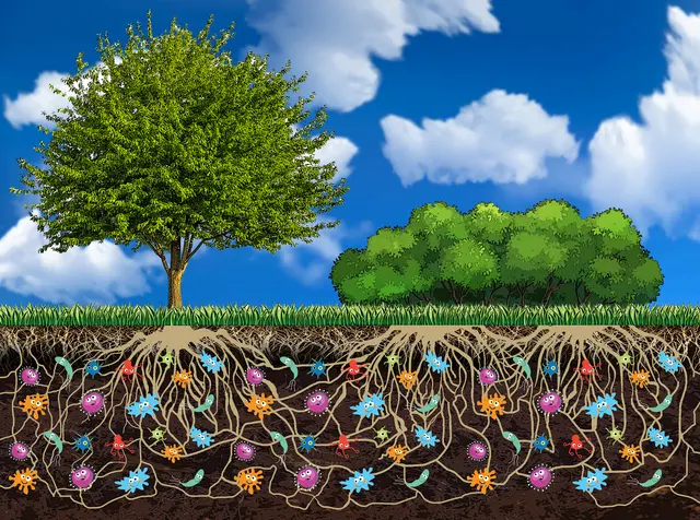 Earth Kind Services — photo from the business 7
