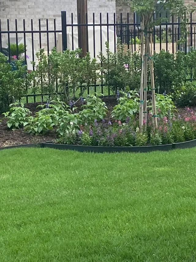 Earth Kind Services — customer photo 12