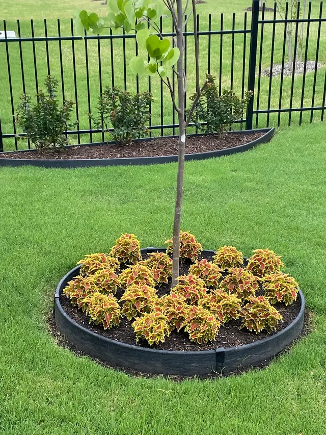 Earth Kind Services — customer photo 8