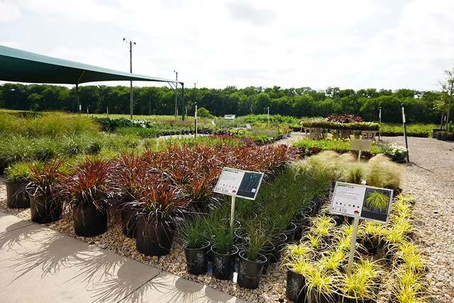 Outdoor Warehouse Supply — photo from the business 9