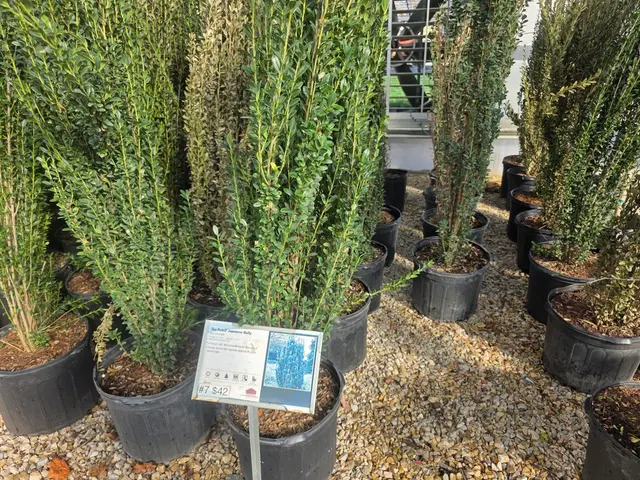 Outdoor Warehouse Supply — customer photo 8