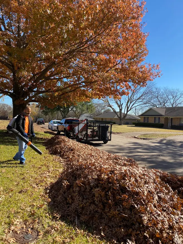 Beyond Lawn Care & Landscaping LLC — photo from the business 11