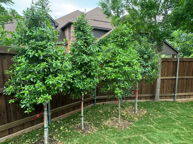 Cameron's Lawn Care Service — customer photo 12