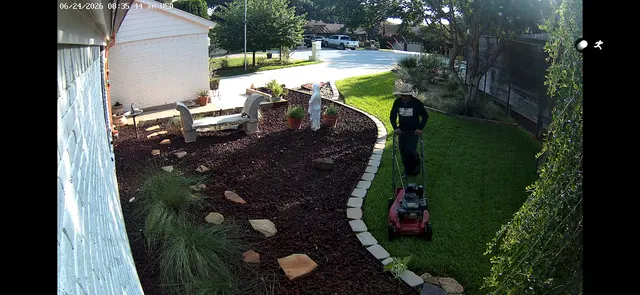Handsome Lawn Service — customer photo 8