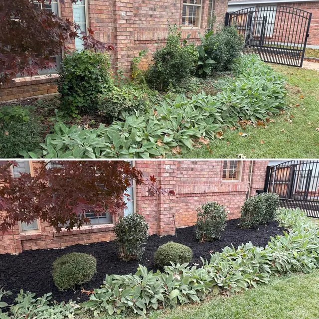 Handsome Lawn Service — customer photo 6
