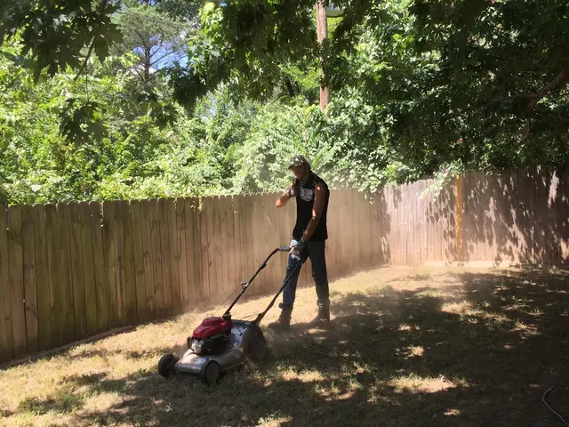 Handsome Lawn Service — photo from the business 10