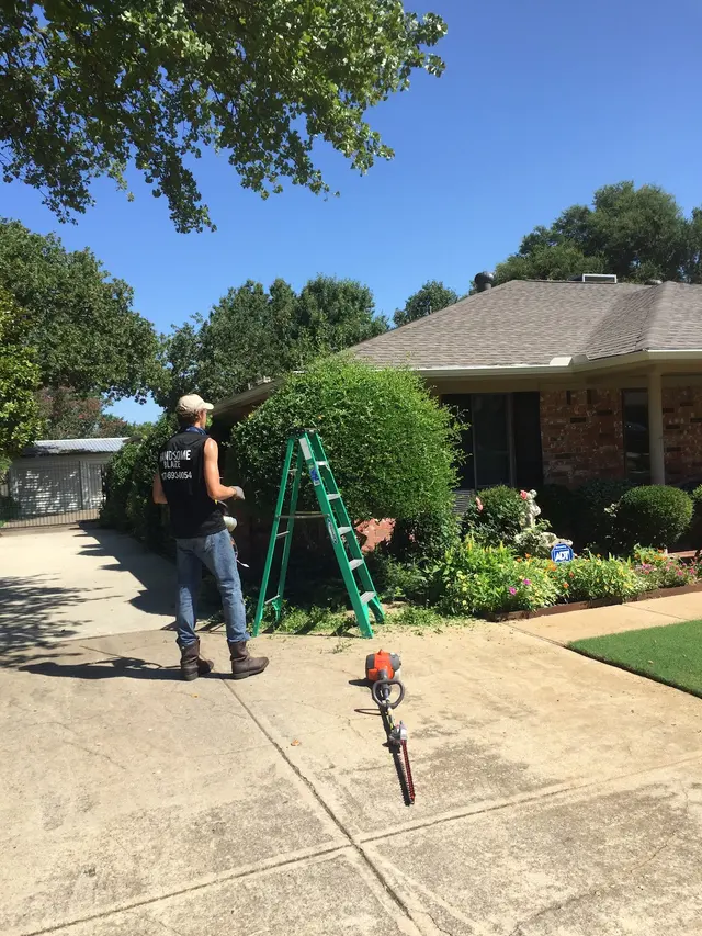 Handsome Lawn Service — photo from the business 3